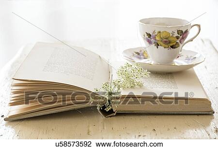 Studio shot of teacup and book with flower View Large Photo Image Stock Image - Studio shot of teacup and book with flower. Fotosearch