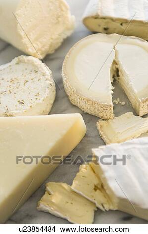 Picture - Studio shot of varied cheese slices. Fotosearch