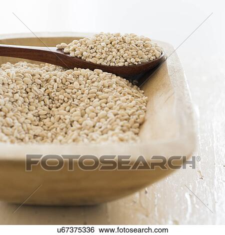 Stock Photograph - Studio shot of whole grains. Fotosearch
