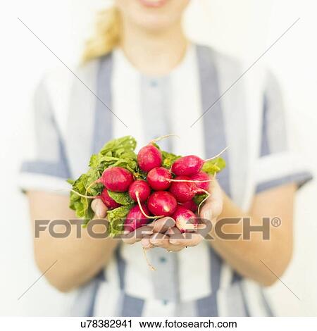 Studio shot of woman holding bunch of fresh radishes View Large Photo Image Stock Image - Studio shot of woman holding bunch of fresh radishes. Fotosearch