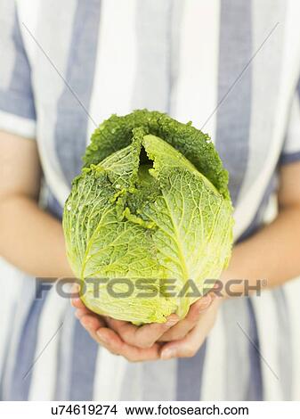 Picture - Studio shot of woman holding fresh cabbage. Fotosearch