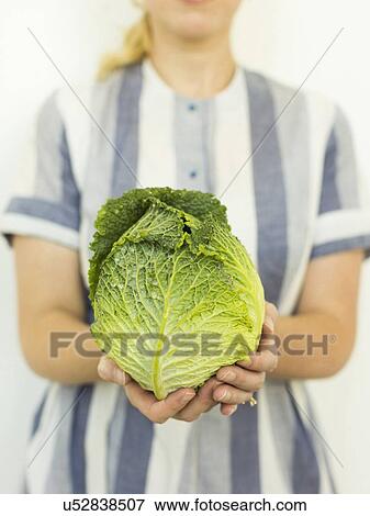 Stock Photo - Studio shot of woman holding fresh cabbage. Fotosearch