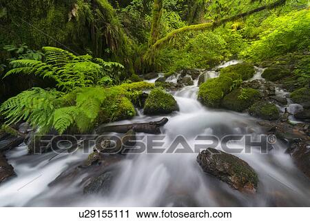 View of rocky steam View Large Photo Image Stock Image - View of rocky steam . Fotosearch