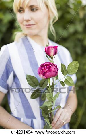 Woman holding purple rose View Large Photo Image Picture - Woman holding purple rose. Fotosearch