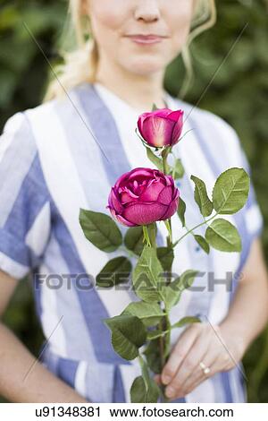 Woman holding purple rose View Large Photo Image Stock Image - Woman holding purple rose. Fotosearch