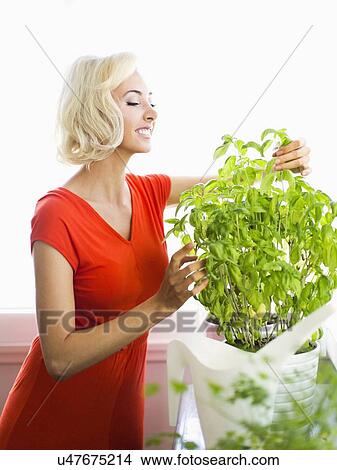 Woman in red dress touching potted plant View Large Photo Image Picture - Woman in red dress touching potted plant. Fotosearch