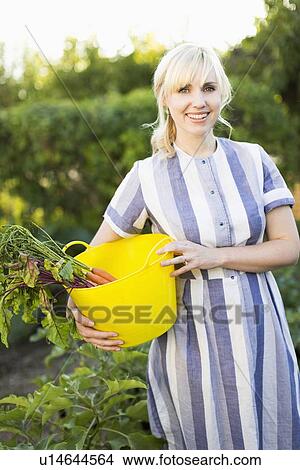 Picture - Woman picking vegetables in garden. Fotosearch