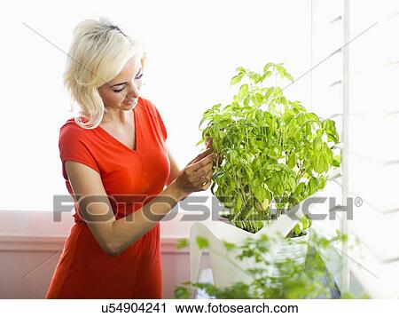 Woman red dress touching potted plant View Large Photo Image Stock Image - Woman red dress touching potted plant. Fotosearch