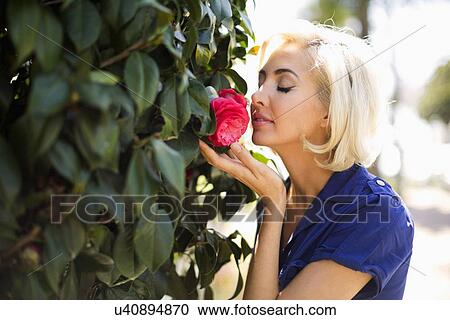 Woman smelling rose View Large Photo Image Stock Image - Woman smelling rose. Fotosearch