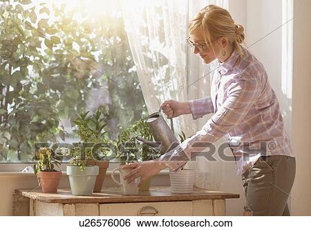 Stock Photograph - Woman watering plants in living room. Fotosearch