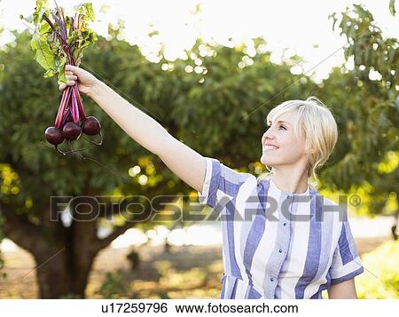 Woman wearing striped dress working in vegetable garden View Large Photo Image Stock Photograph - Woman wearing striped dress working in vegetable garden. Fotosearch