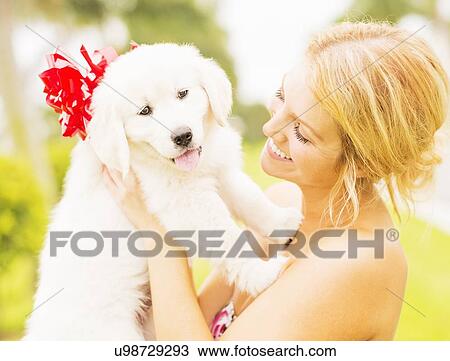 Young woman holding white puppy with ribbon bow View Large Photo Image Stock Image - Young woman holding white puppy with ribbon bow. Fotosearch
