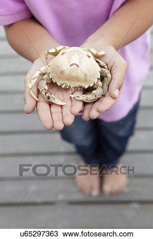 Stock Image - Detail young boy holding crab. Fotosearch