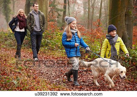 Family Walking Dog Through Winter Woodland View Large Photo Image Stock Image - Family Walking Dog Through Winter Woodland. Fotosearch