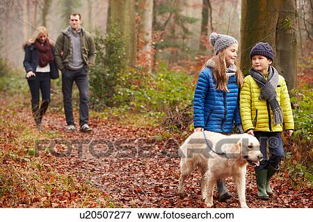 Family Walking Dog Through Winter Woodland View Large Photo Image Stock Photo - Family Walking Dog Through Winter Woodland. Fotosearch