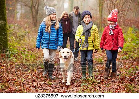 Family Walking Dog Through Winter Woodland View Large Photo Image Stock Photo - Family Walking Dog Through Winter Woodland. Fotosearch