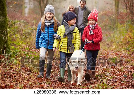 Stock Photograph - Family Walking Dog Through Winter Woodland. Fotosearch