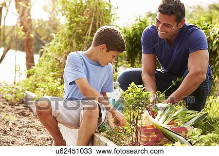 Father And Son Working On Allotment Together View Large Photo Image Stock Image - Father And Son Working On Allotment Together. Fotosearch