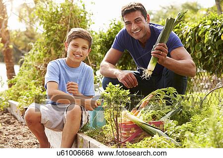 Father And Son Working On Allotment Together View Large Photo Image Stock Photo - Father And Son Working On Allotment Together. Fotosearch