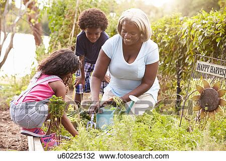 Stock Image - Grandmother And Grandchildren Working On Allotment. Fotosearch