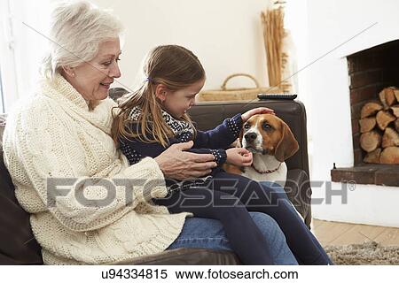 Grandmother And Granddaughter Relaxing At Home With Pet Dog View Large Photo Image Stock Photography - Grandmother And Granddaughter Relaxing At Home With Pet Dog. Fotosearch