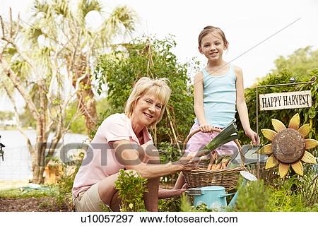 Stock Photo - Grandmother And Granddaughter Working On Allotment. Fotosearch
