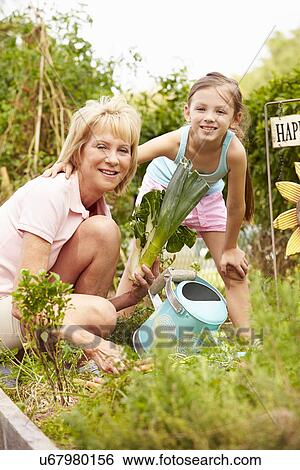 Stock Photograph - Grandmother And Granddaughter Working On Allotment. Fotosearch