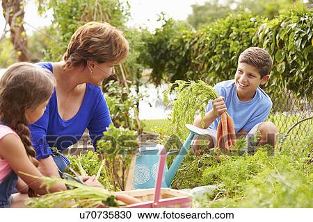 Stock Image - Grandmother With Grandchildren Working On Allotment . Fotosearch