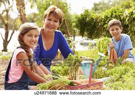 Grandmother With Grandchildren Working On Allotment View Large Photo Image Stock Photo - Grandmother With Grandchildren Working On Allotment . Fotosearch
