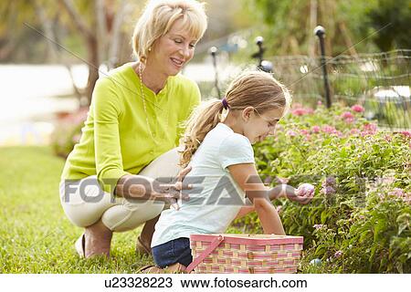 Grandmother With Granddaughter On Easter Egg Hunt In Garden View Large Photo Image Stock Image - Grandmother With Granddaughter On Easter Egg Hunt In Garden. Fotosearch