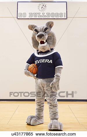 High School Mascot For Basketball Team View Large Photo Image Stock Photography - High School Mascot For Basketball Team. Fotosearch