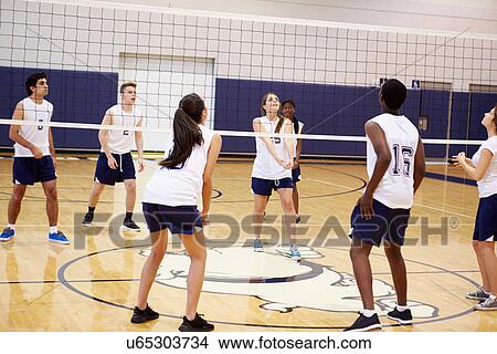 High School Volleyball Match In Gymnasium View Large Photo Image Picture - High School Volleyball Match In Gymnasium. Fotosearch