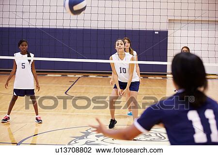 High School Volleyball Match In Gymnasium View Large Photo Image Stock Image - High School Volleyball Match In Gymnasium. Fotosearch