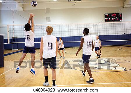 High School Volleyball Match In Gymnasium View Large Photo Image Stock Image - High School Volleyball Match In Gymnasium. Fotosearch