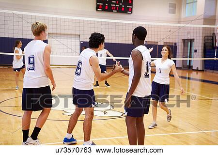 High School Volleyball Match In Gymnasium View Large Photo Image Stock Image - High School Volleyball Match In Gymnasium. Fotosearch