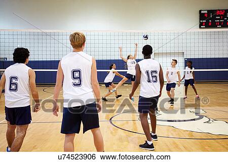 High School Volleyball Match In Gymnasium View Large Photo Image Stock Photograph - High School Volleyball Match In Gymnasium. Fotosearch
