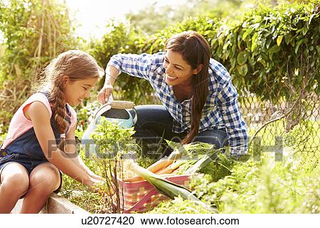 Mother And Daughter Working On Allotment Together View Large Photo Image Stock Image - Mother And Daughter Working On Allotment Together. Fotosearch