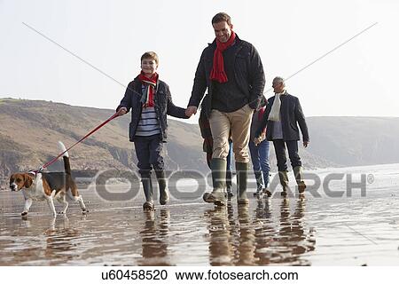 Multi Generation Family Walking On Winter Beach With Dog View Large Photo Image Stock Image - Multi Generation Family Walking On Winter Beach With Dog. Fotosearch