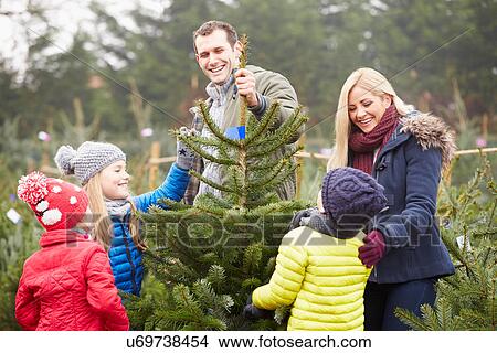 Outdoor Family Choosing Christmas Tree Together View Large Photo Image Picture - Outdoor Family Choosing Christmas Tree Together. Fotosearch