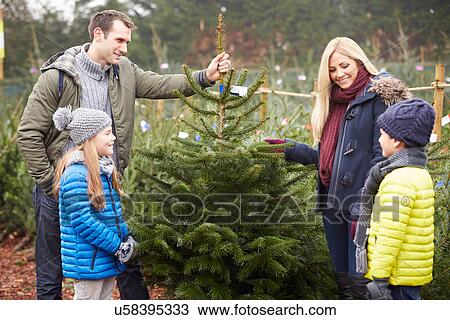 Stock Image - Outdoor Family Choosing Christmas Tree Together. Fotosearch