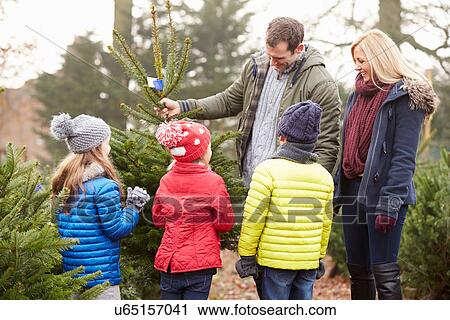 Outdoor Family Choosing Christmas Tree Together View Large Photo Image Stock Image - Outdoor Family Choosing Christmas Tree Together. Fotosearch