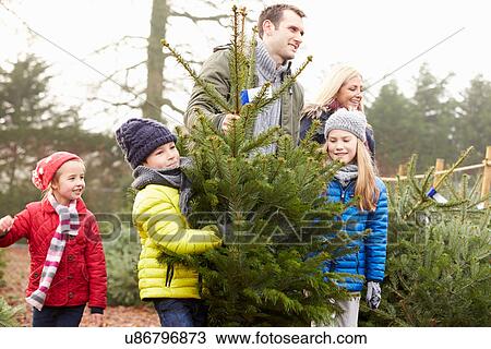 Stock Image - Outdoor Family Choosing Christmas Tree Together. Fotosearch