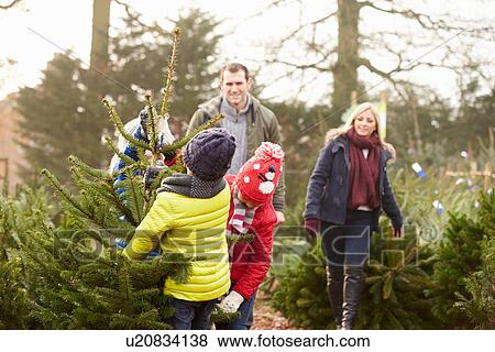Outdoor Family Choosing Christmas Tree Together View Large Photo Image Stock Photo - Outdoor Family Choosing Christmas Tree Together. Fotosearch