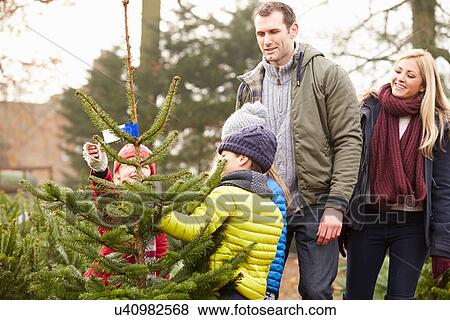 Outdoor Family Choosing Christmas Tree Together View Large Photo Image Stock Photo - Outdoor Family Choosing Christmas Tree Together. Fotosearch