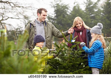 Outdoor Family Choosing Christmas Tree Together View Large Photo Image Stock Photo - Outdoor Family Choosing Christmas Tree Together. Fotosearch
