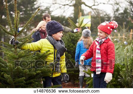 Outdoor Family Choosing Christmas Tree Together View Large Photo Image Stock Photograph - Outdoor Family Choosing Christmas Tree Together. Fotosearch