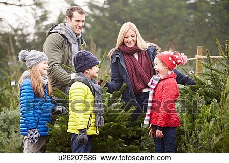 Stock Photograph - Outdoor Family Choosing Christmas Tree Together. Fotosearch