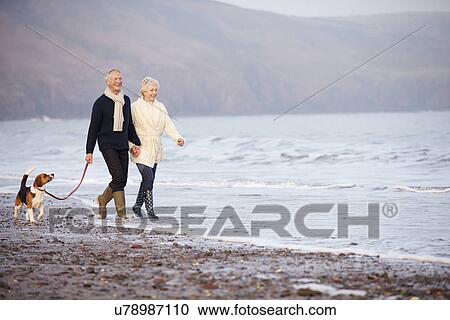 Senior Couple Walking Along Winter Beach With Pet Dog View Large Photo Image Stock Image - Senior Couple Walking Along Winter Beach With Pet Dog. Fotosearch
