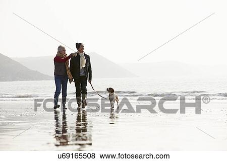 Stock Photo - Senior Couple Walking Along Winter Beach With Pet Dog. Fotosearch