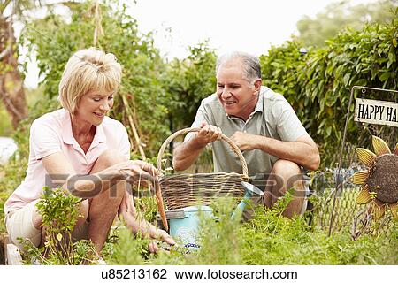 Senior Couple Working On Allotment Together View Large Photo Image Stock Image - Senior Couple Working On Allotment Together. Fotosearch